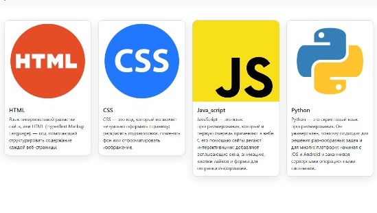 Курс программирования Python и Django в школе Zerek